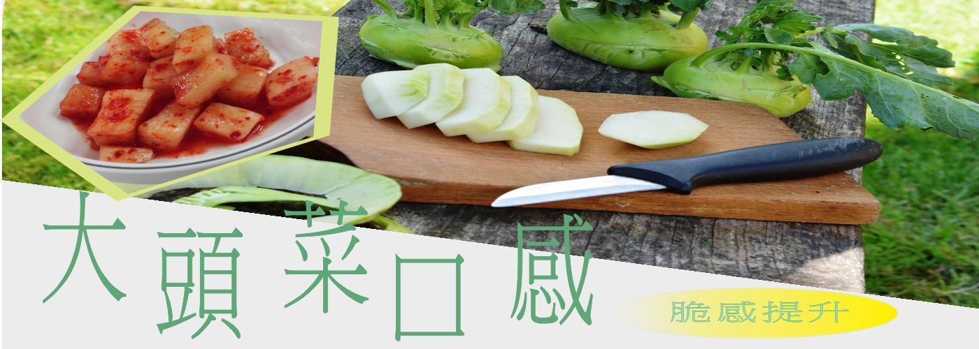 第一商品#黃金泡菜,高麗菜口感